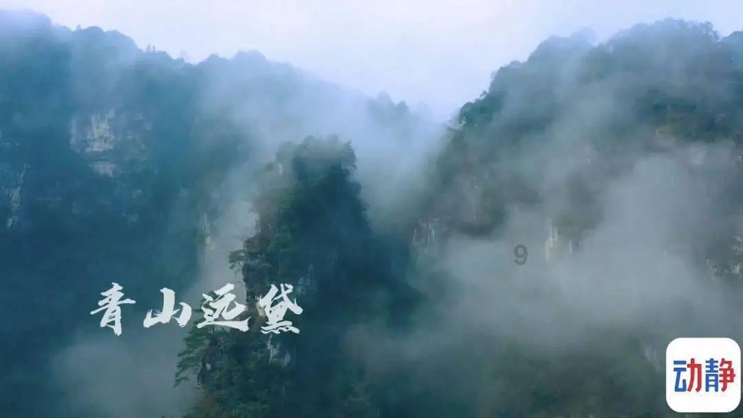 雷竞技比分